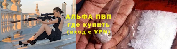 скорость Вяземский