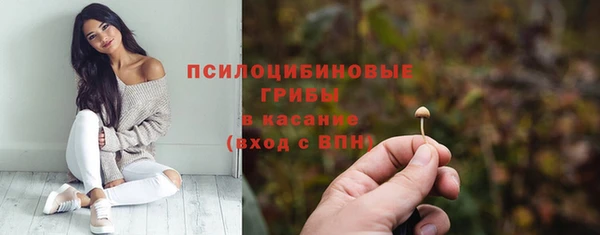 твердый Володарск