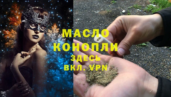 скорость Вяземский